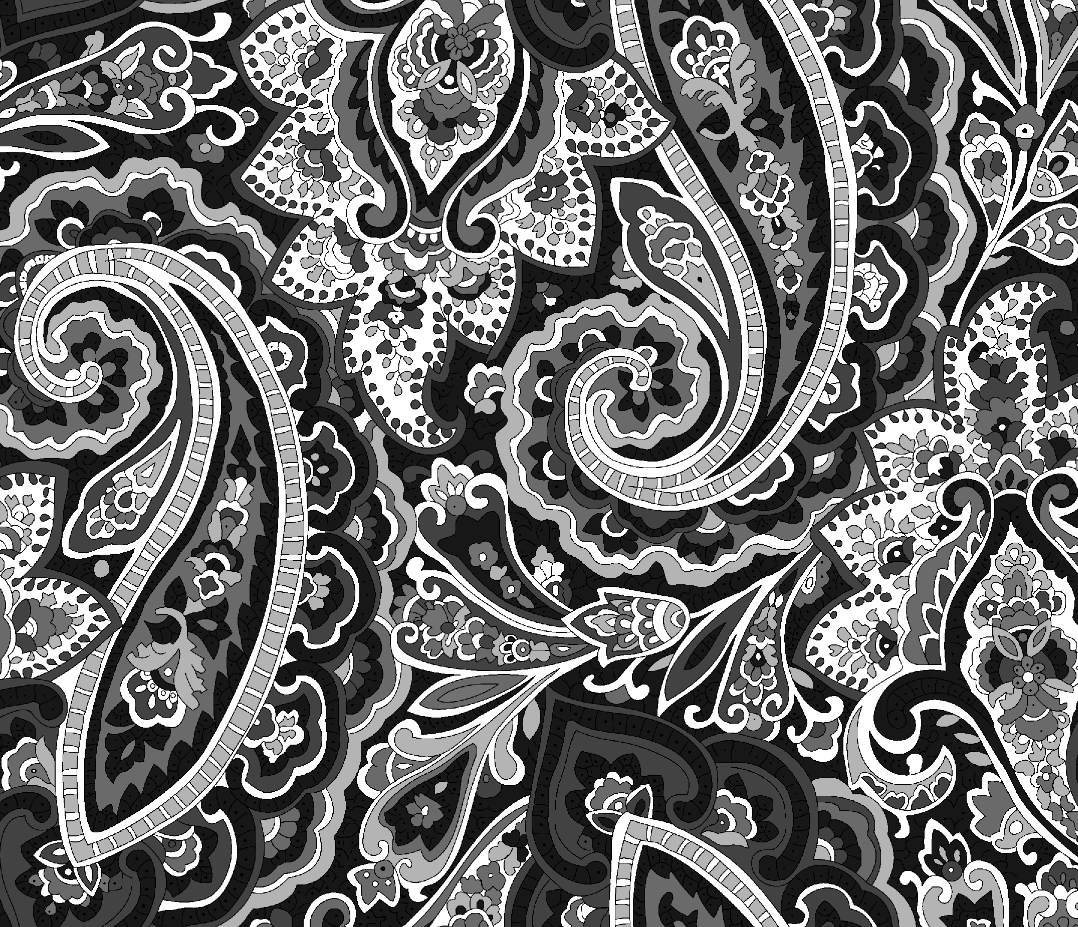 SANYGUARD | SLAPPER | PROTECTEUR DE PANIER paisley noir - AU NOIR